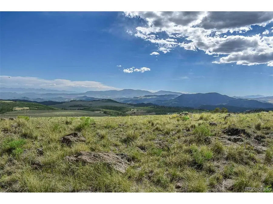 0 Bear Cat Rd, Guffey, CO 80820 - #3