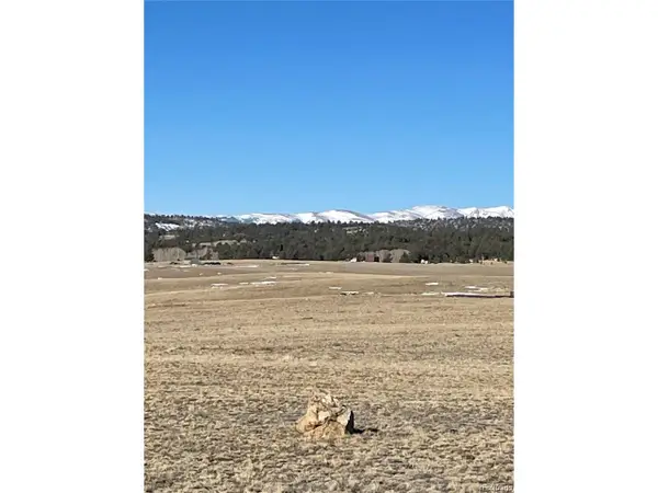 148 Grand Teton Dr, Hartsel, CO 80449