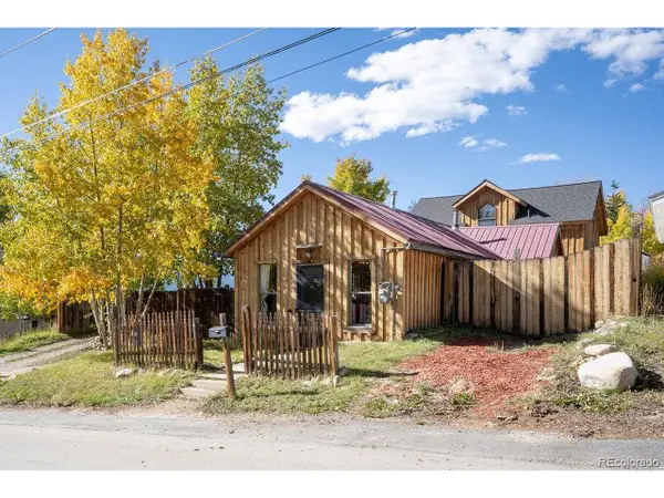 412 E 2nd St, Leadville, CO 80461