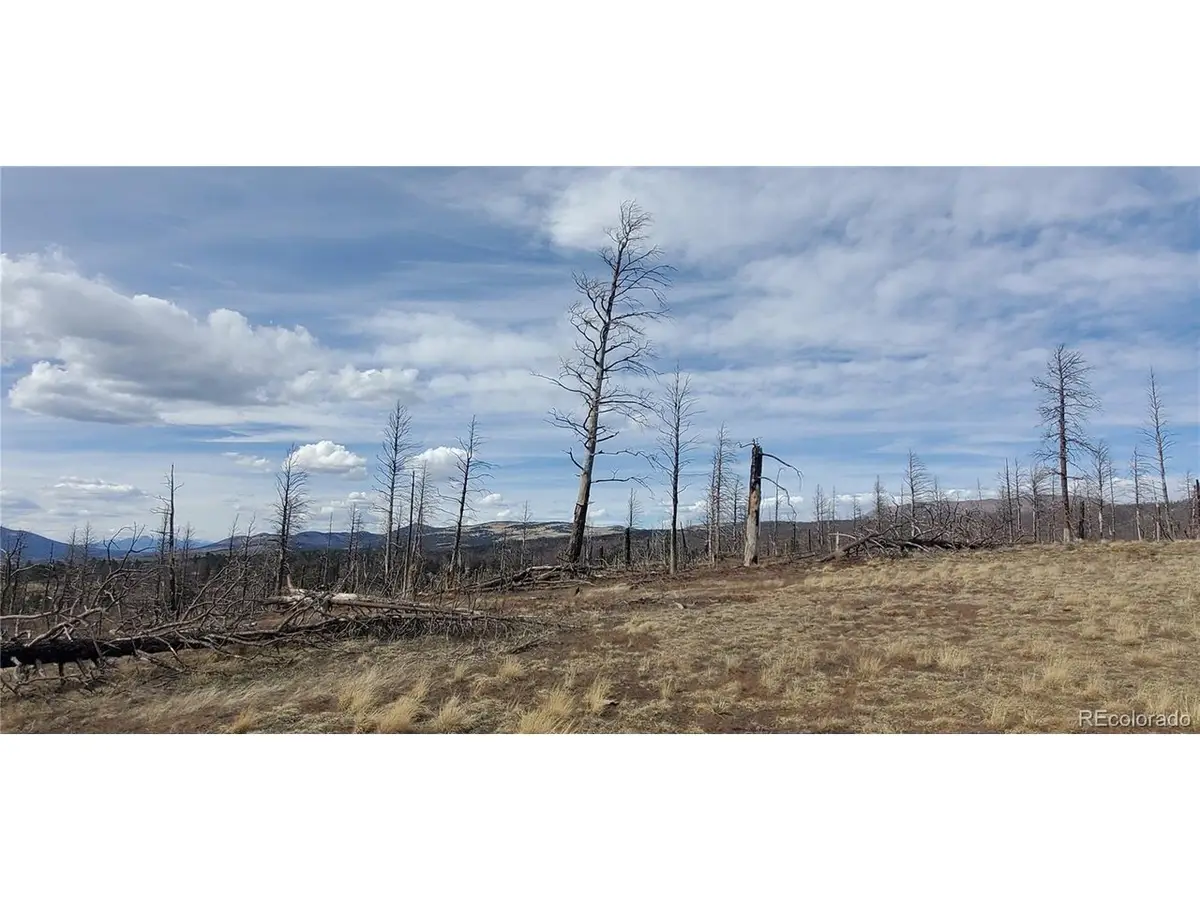 1227 Granville Loop, Fort Garland, CO 81133 - #1