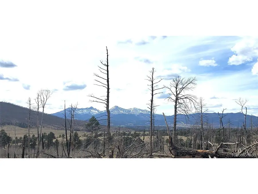 1227 Granville Loop, Fort Garland, CO 81133 - #2
