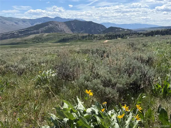 Spring Creek Ranch Rd, Silverthorne, CO 80498