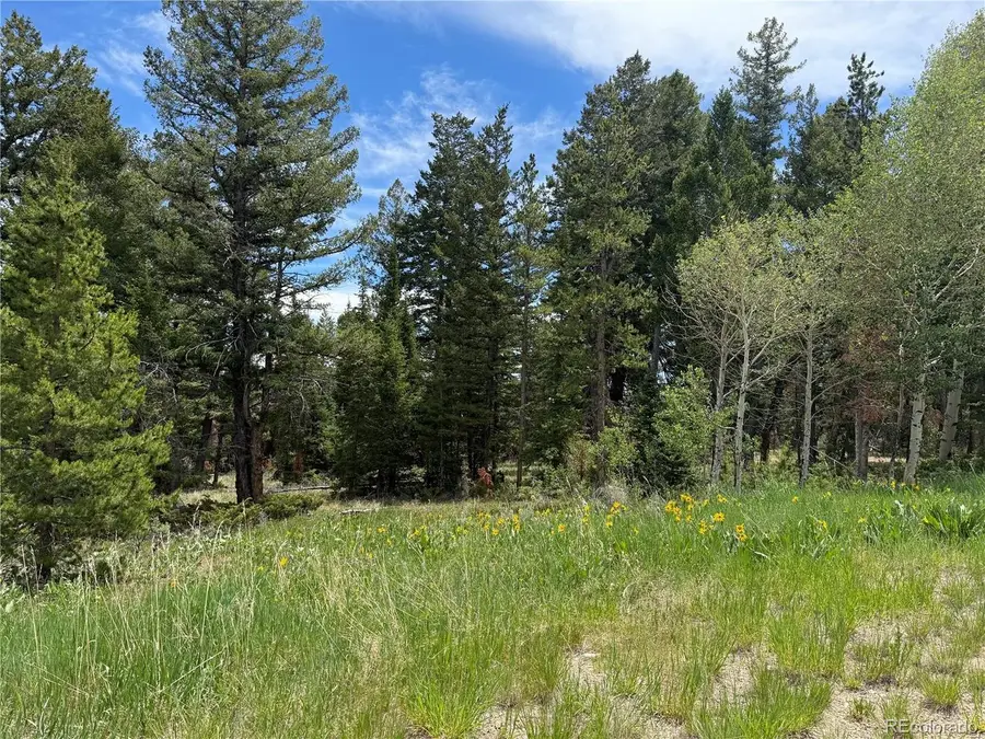 Spring Creek Ranch Rd, Silverthorne, CO 80498 - #2
