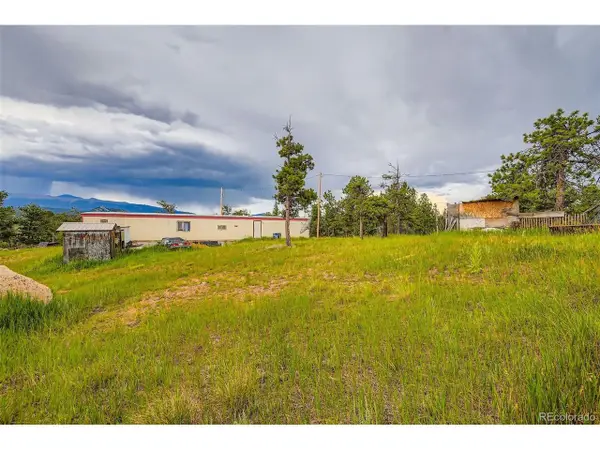 272 Calle Del Sol, Florissant, CO 80816