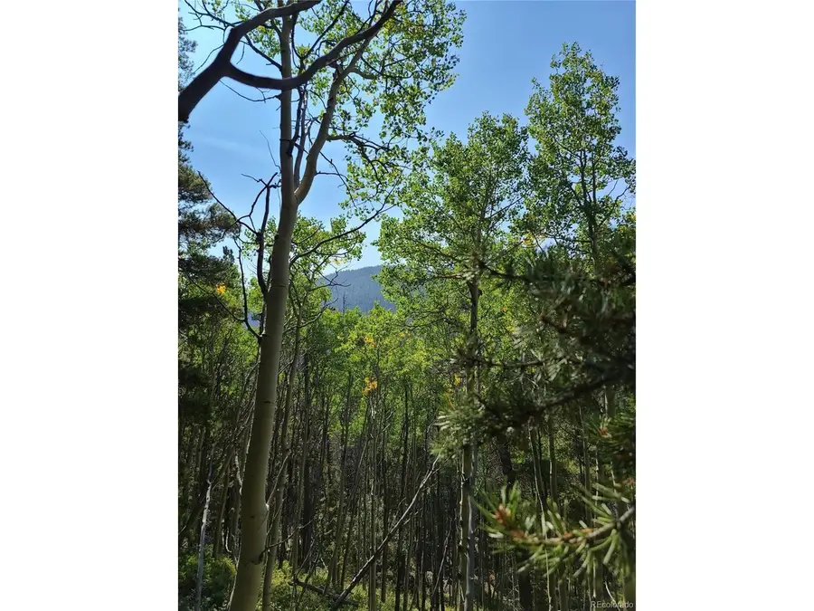 4 Rainbow Rd, Idaho Springs, CO 80452 - #2