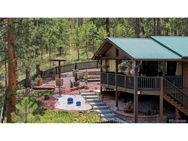 102 Insmont Dr, Bailey, CO 80421