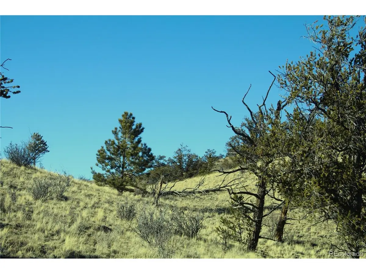 Address Withheld By Seller, Hartsel, CO 80449 - #1