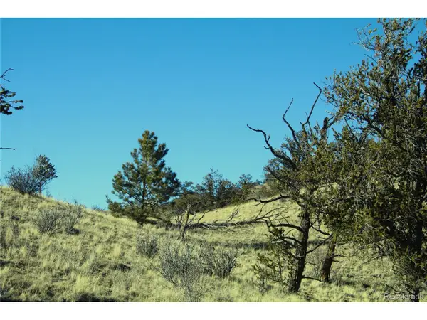 Address Withheld By Seller, Hartsel, CO 80449