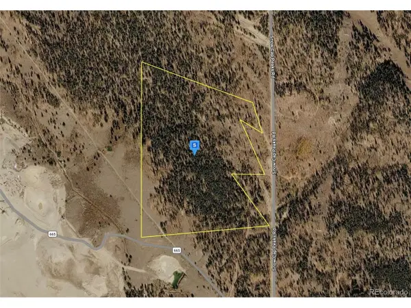 111 Snow Cap Peaks Rte, Alma, CO 80420