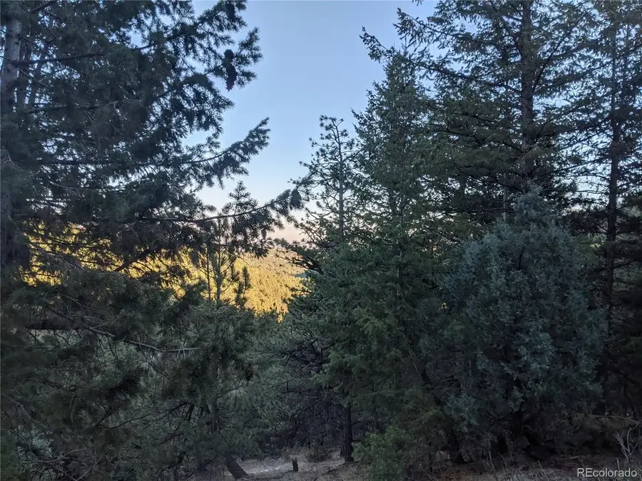 105 Millionaire E Dr, Boulder, CO 80302 - #2