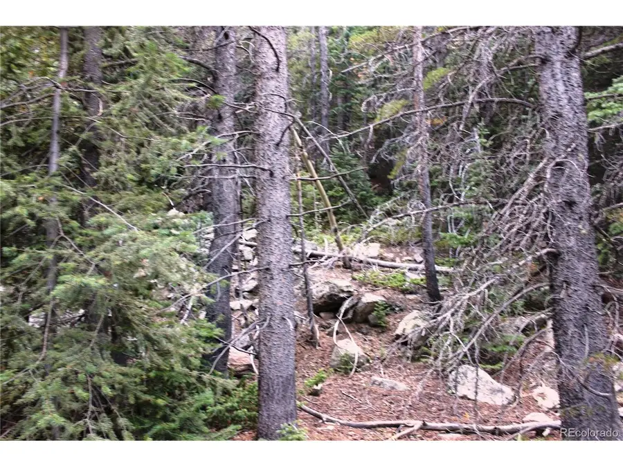 0 Gamble Gulch, Black Hawk, CO 80422 - #3