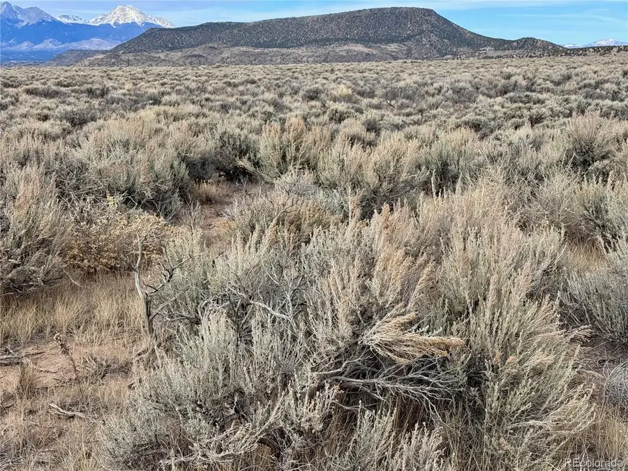 81 Macarthur Rd, Fort Garland, CO 81133 - #3