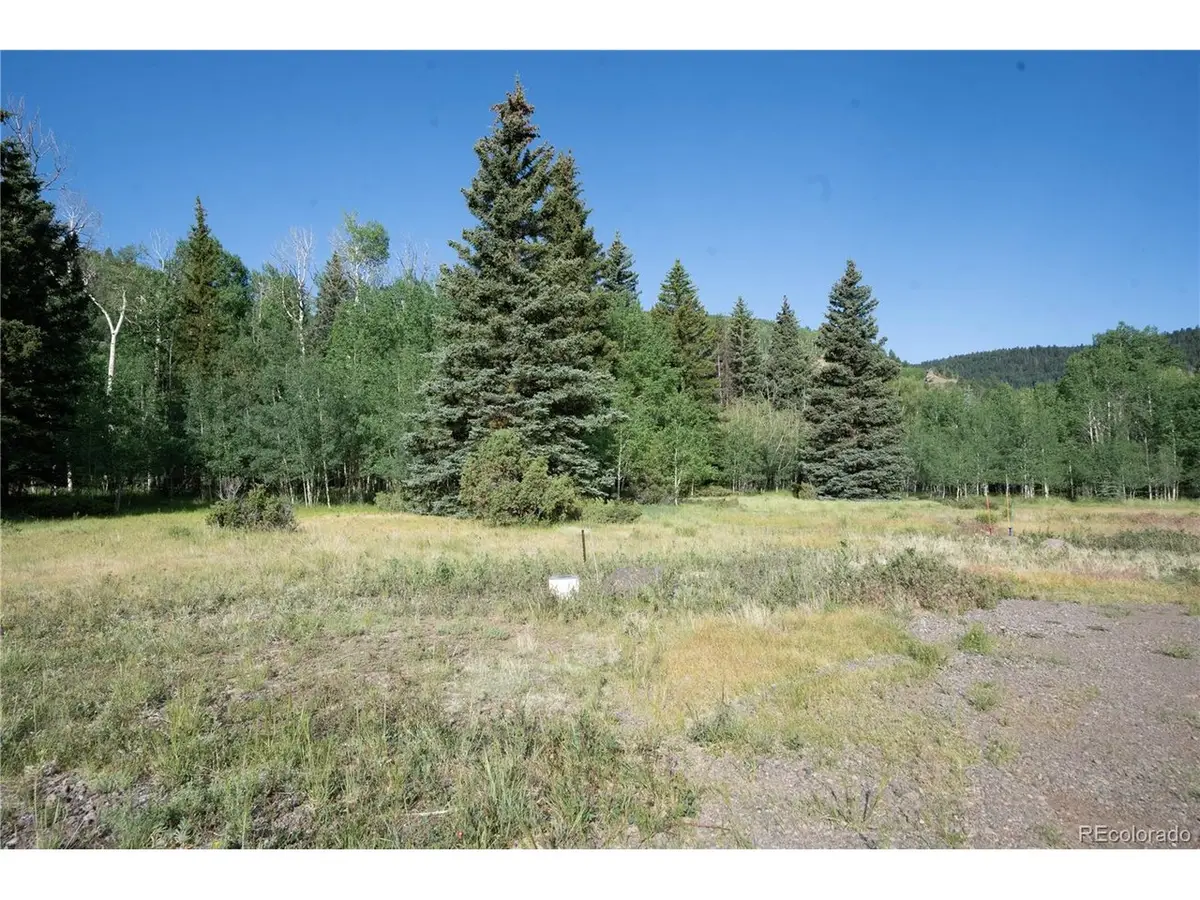 42 W Peregrine, Antonito, CO 81120 - #1