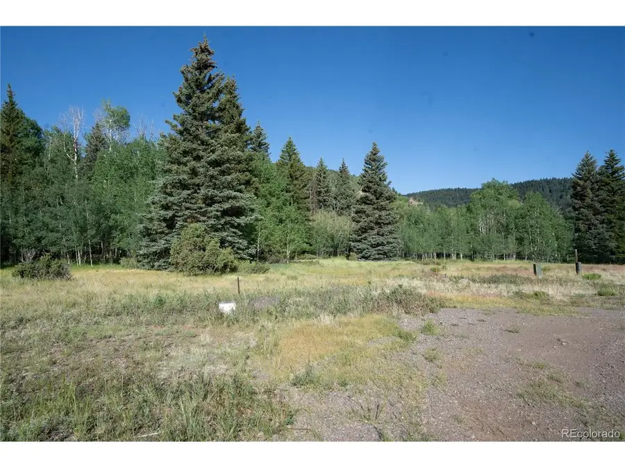 42 W Peregrine, Antonito, CO 81120 - #2