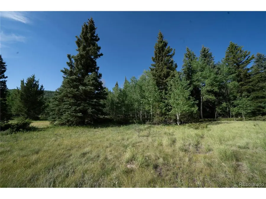 42 W Peregrine, Antonito, CO 81120 - #3