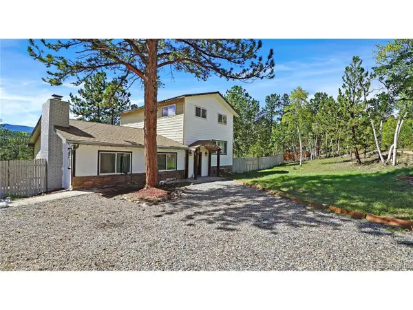 277 Houston St, Bailey, CO 80421