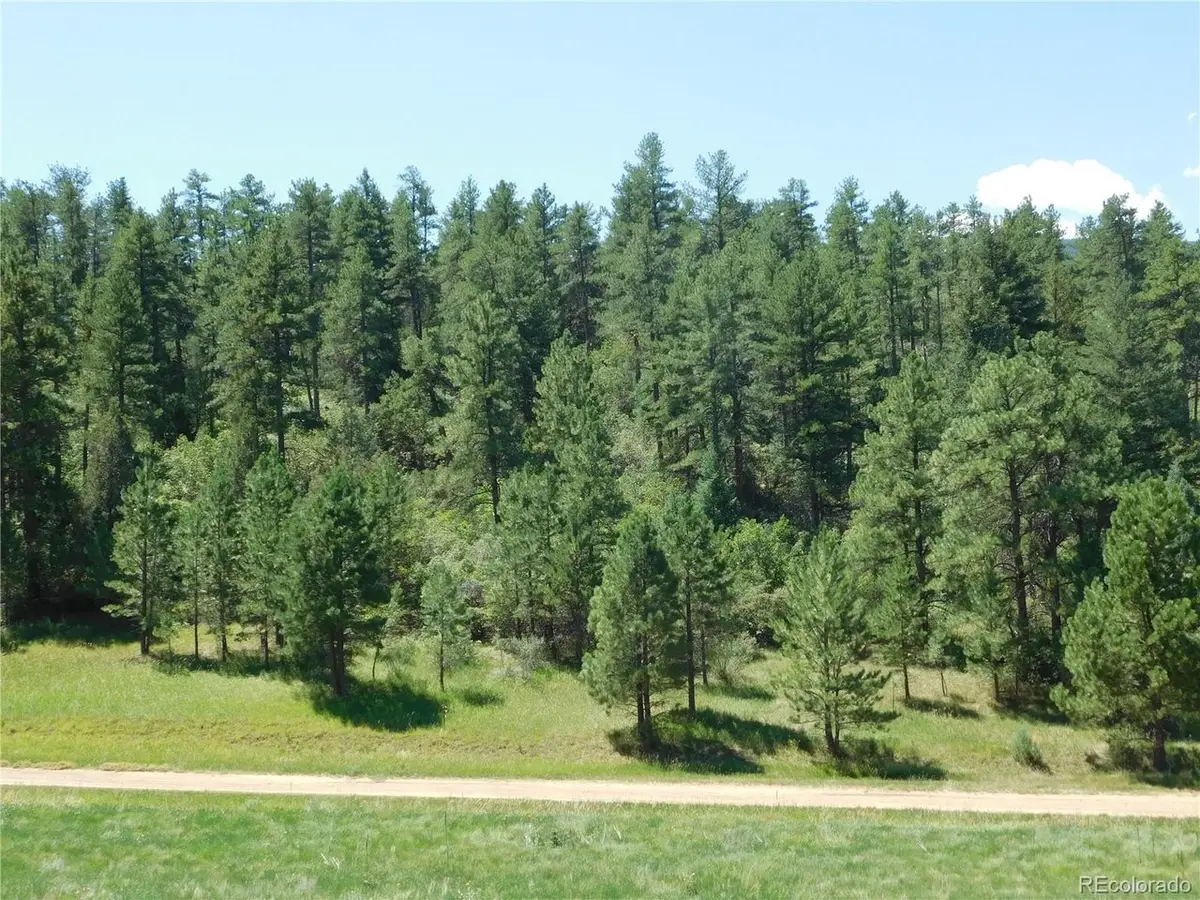 4668 Comanche Dr, Larkspur, CO 80118 - #1