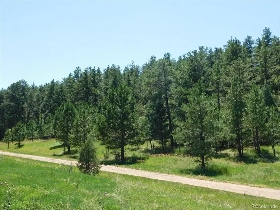 4668 Comanche Dr, Larkspur, CO 80118 - #2