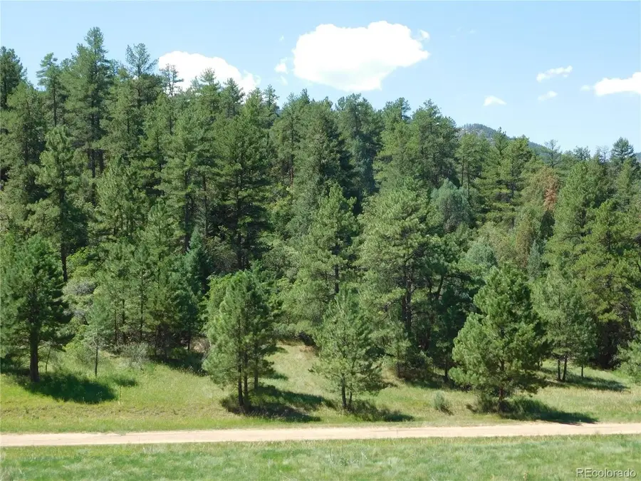 4668 Comanche Dr, Larkspur, CO 80118 - #3