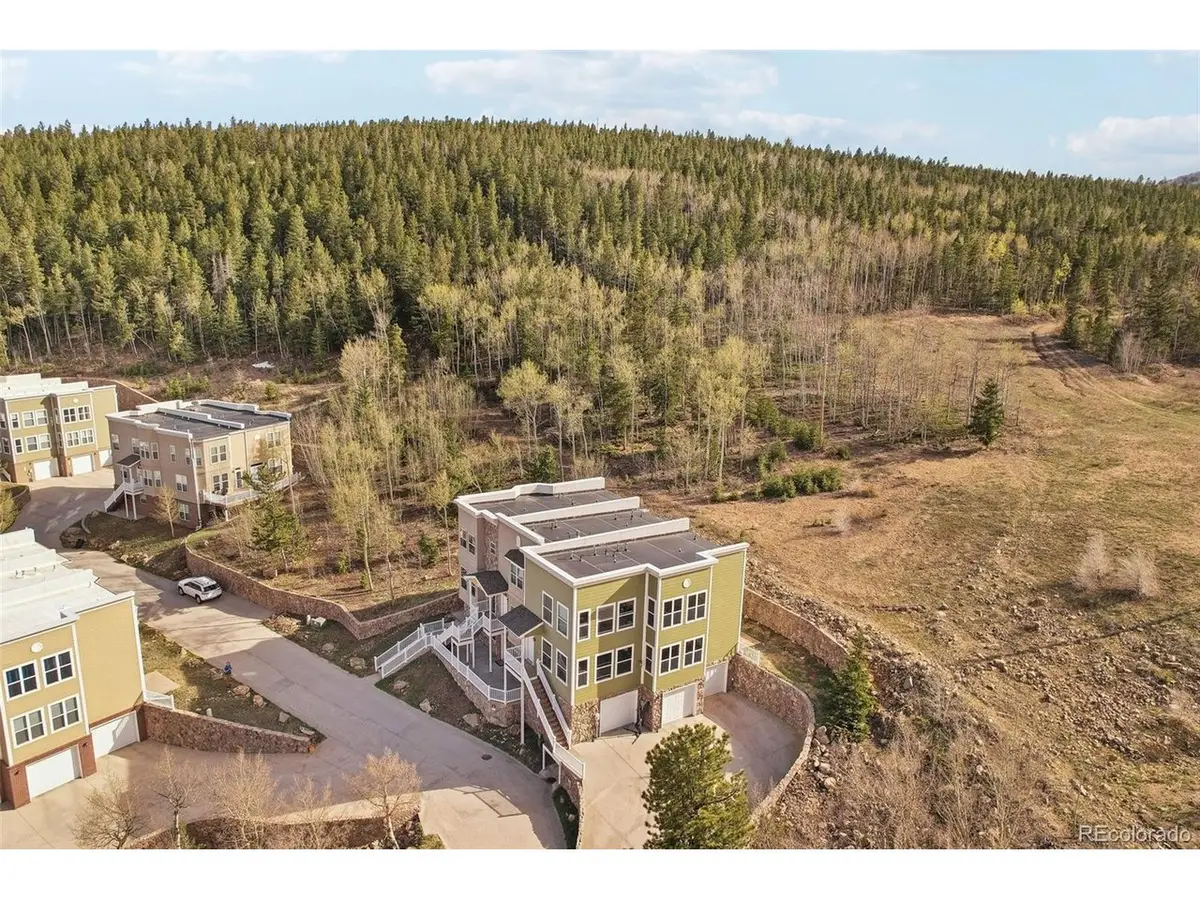 785 Martin Dr, Central City, CO 80427 - Image #1