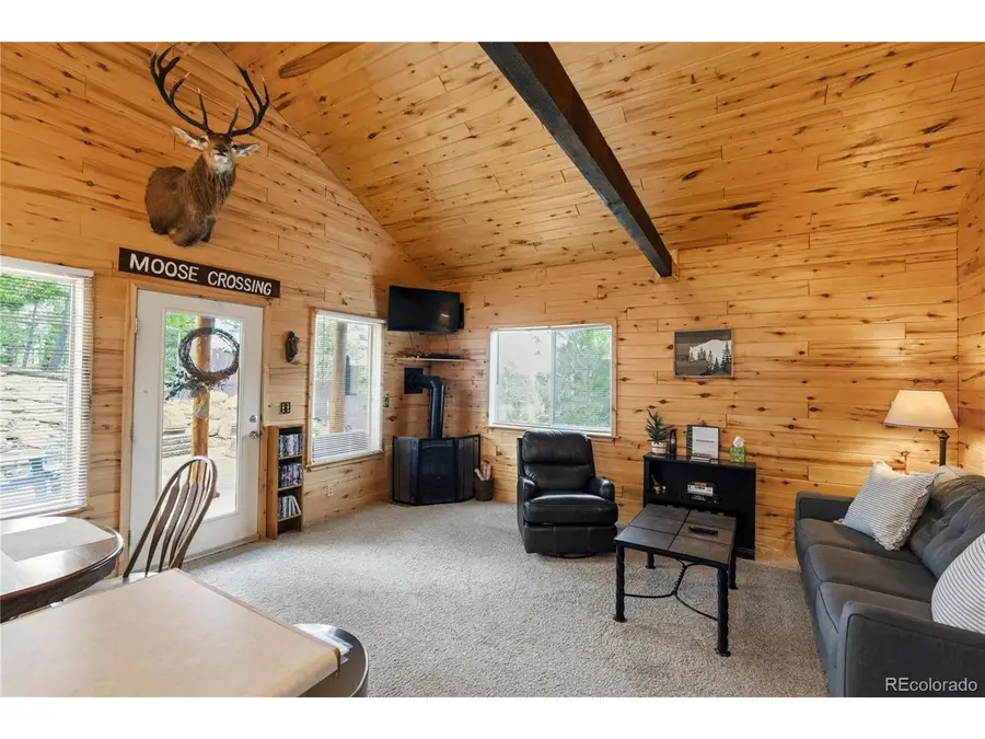 526 Wakanda Trl, Woodland Park, CO 80863 - #3