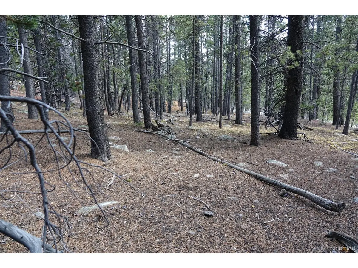 Address Withheld By Seller, Idaho Springs, CO 80452 - #1