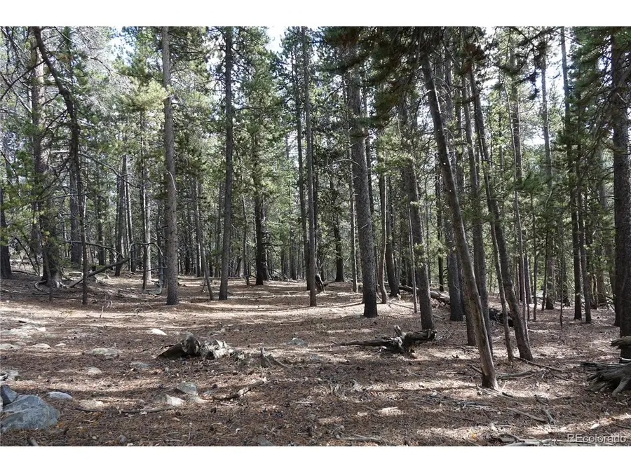 Address Withheld By Seller, Idaho Springs, CO 80452 - #2