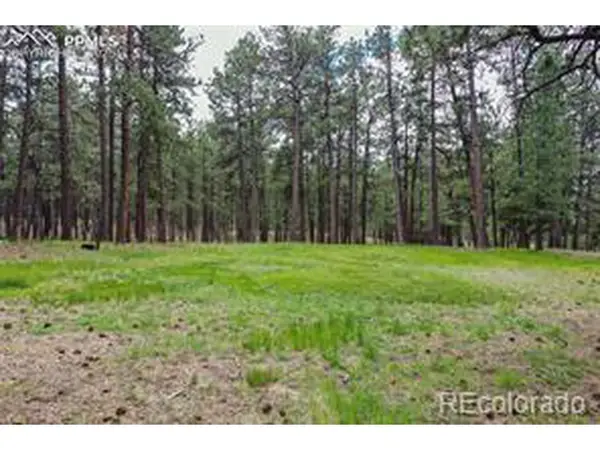 12375 Mount Shasta Dr, Elbert, CO 80106