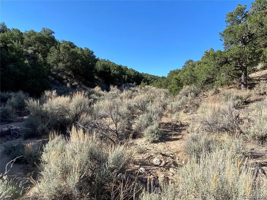 0 Austin Rd, Fort Garland, CO 81133 - Image #3