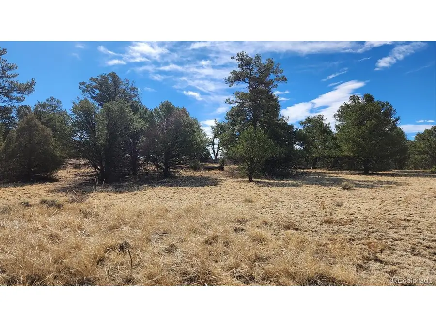 I Path, Cotopaxi, CO 81223 - #2