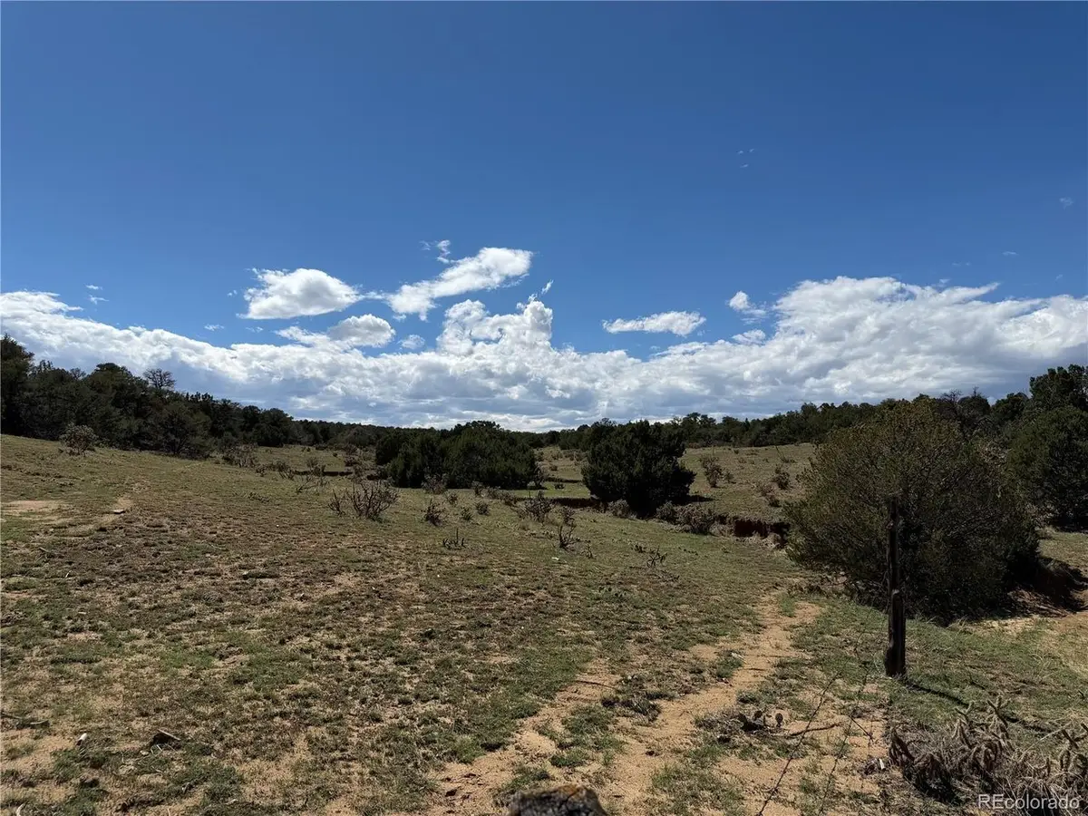 81 Twin Lakes Ranch, Walsenburg, CO 81089 - #1