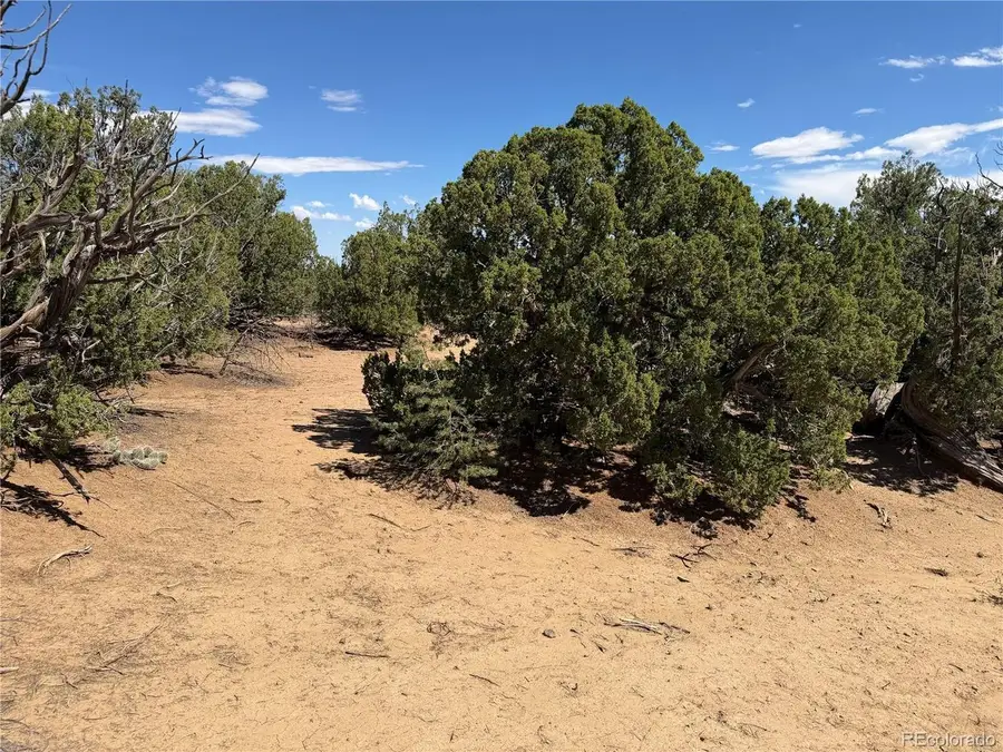 81 Twin Lakes Ranch, Walsenburg, CO 81089 - #2