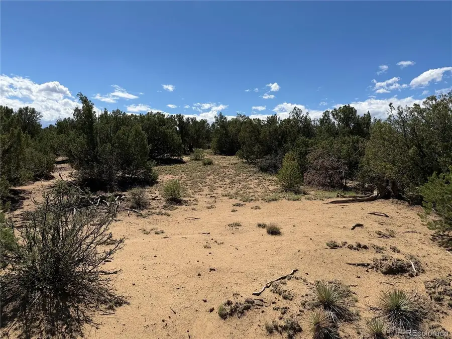 81 Twin Lakes Ranch, Walsenburg, CO 81089 - #3