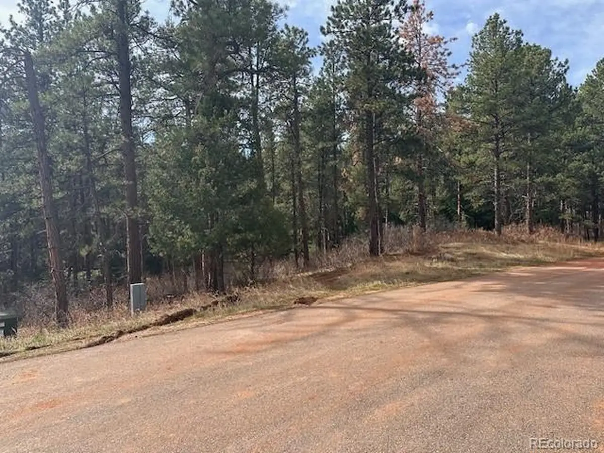 8169 Bannock Dr, Larkspur, CO 80118 - #1