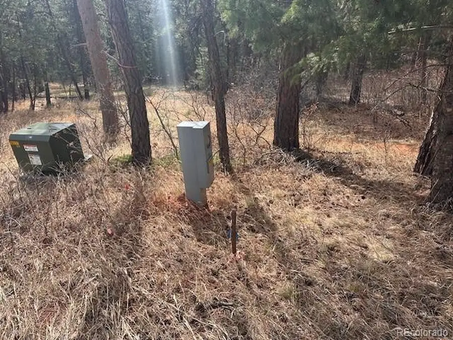 8169 Bannock Dr, Larkspur, CO 80118 - #2