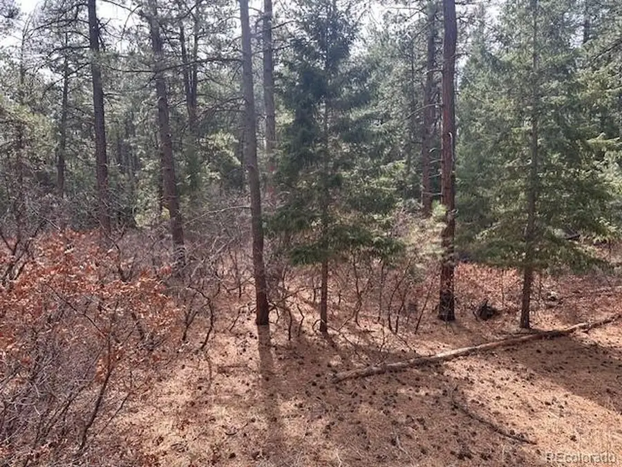 8169 Bannock Dr, Larkspur, CO 80118 - #3