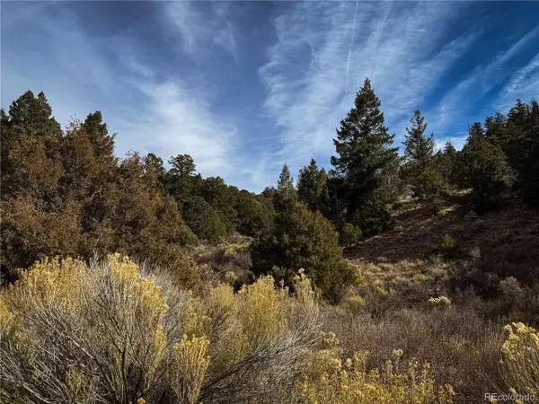 0 Jaidi Rd, Fort Garland, CO 81133