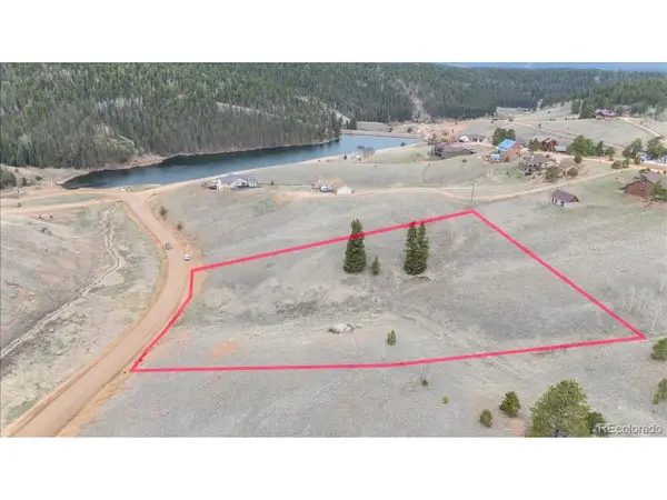 175 Twin Lakes Dr, Divide, CO 80814