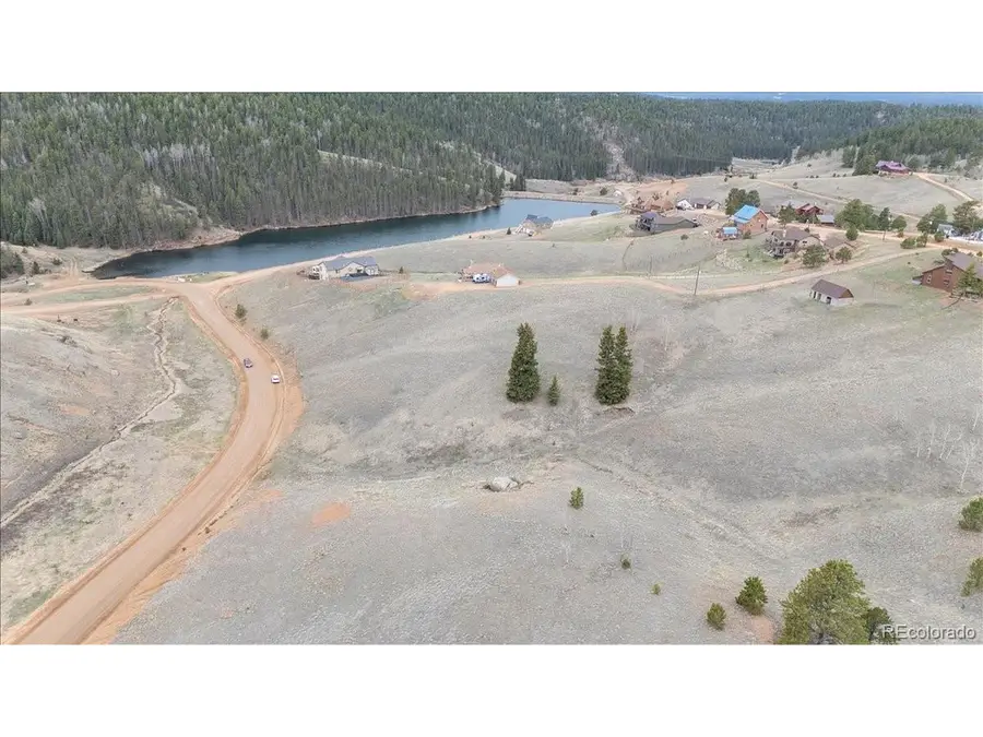 175 Twin Lakes Dr, Divide, CO 80814 - #2