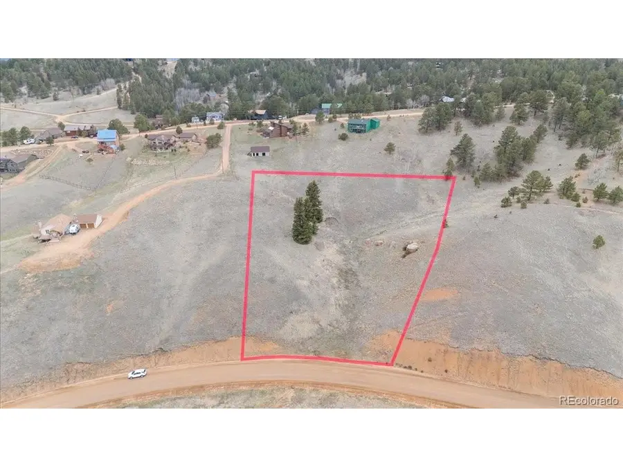 175 Twin Lakes Dr, Divide, CO 80814 - #3
