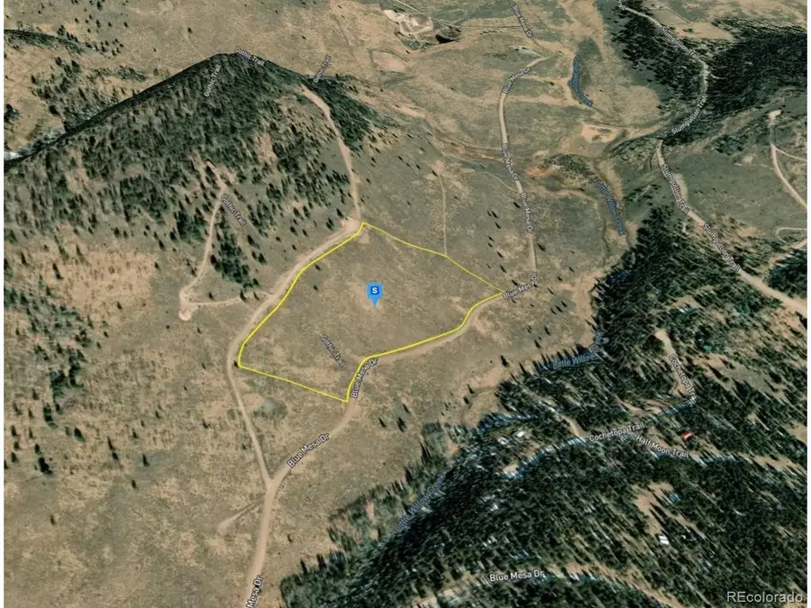 220 Gothic Trl, Powderhorn, CO 81243 - #2