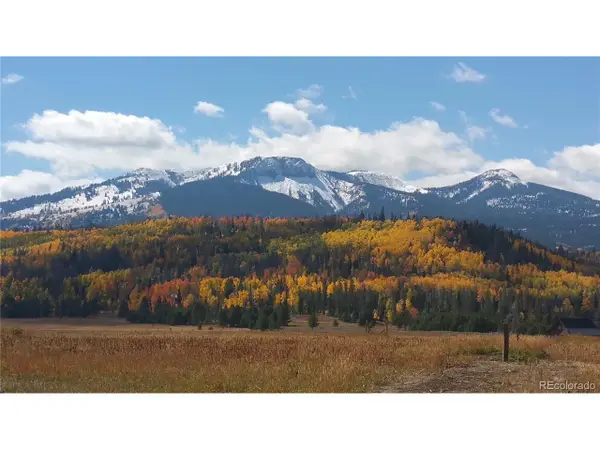 59045 Button Willow Dr, Clark, CO 80428