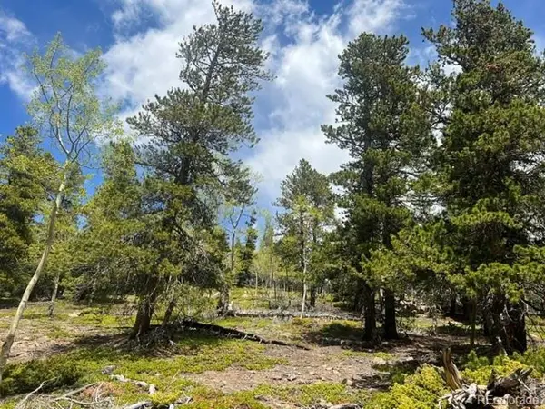 1 Sunny Skies Trl, Idaho Springs, CO 80452