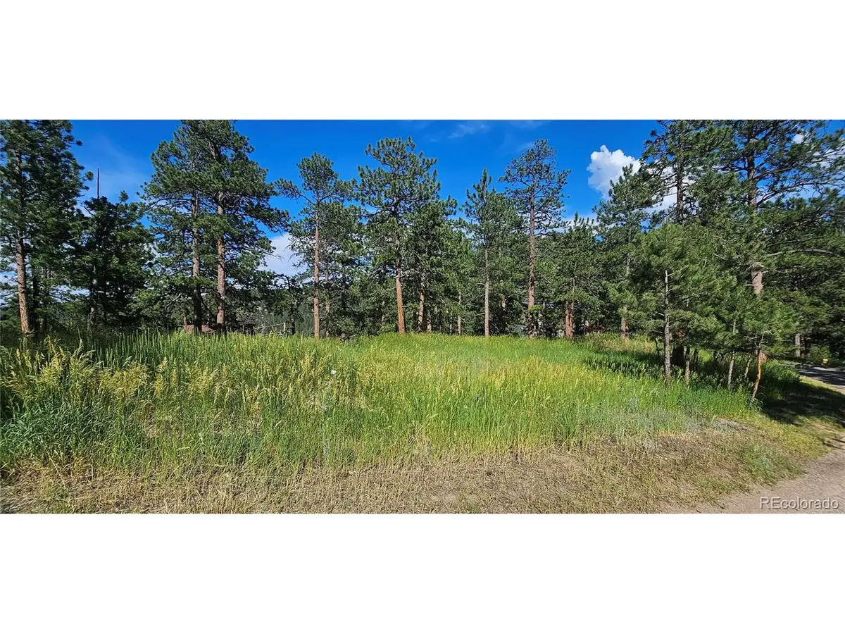 27903 Pine Dr, Evergreen, CO 80439 - #1