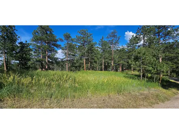 27903 Pine Dr, Evergreen, CO 80439