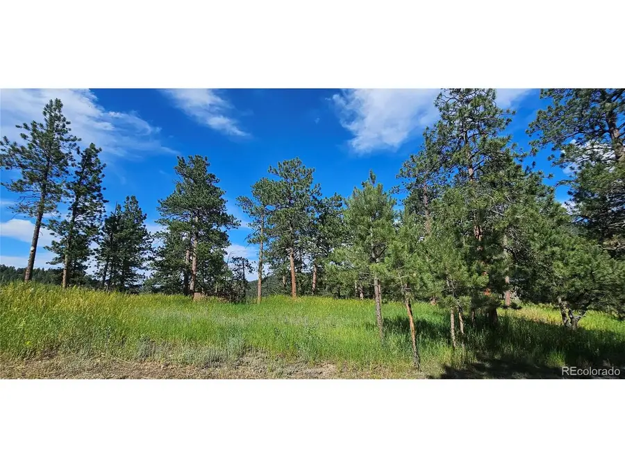 27903 Pine Dr, Evergreen, CO 80439 - #3