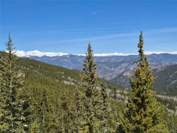 312 Sawmill Ln, Idaho Springs, CO 80452