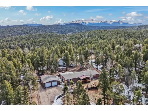 146 Kokwapy Ct, Florissant, CO 80816