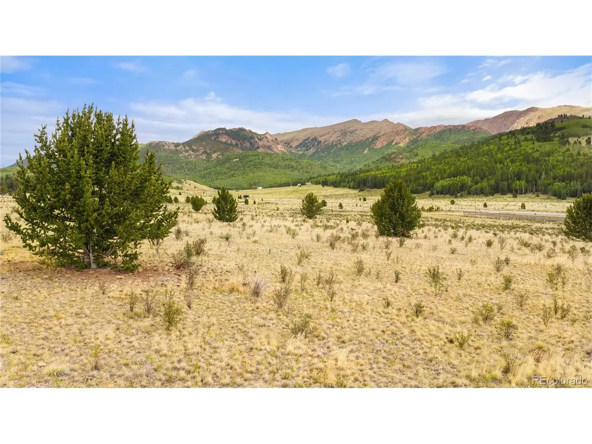 11881 Sh 67, Divide, CO 80814 - #1