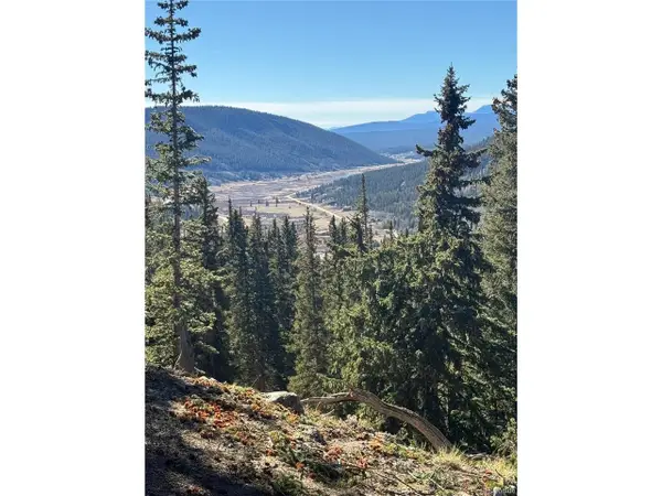 275 Lakeview Dr, Fairplay, CO 80420